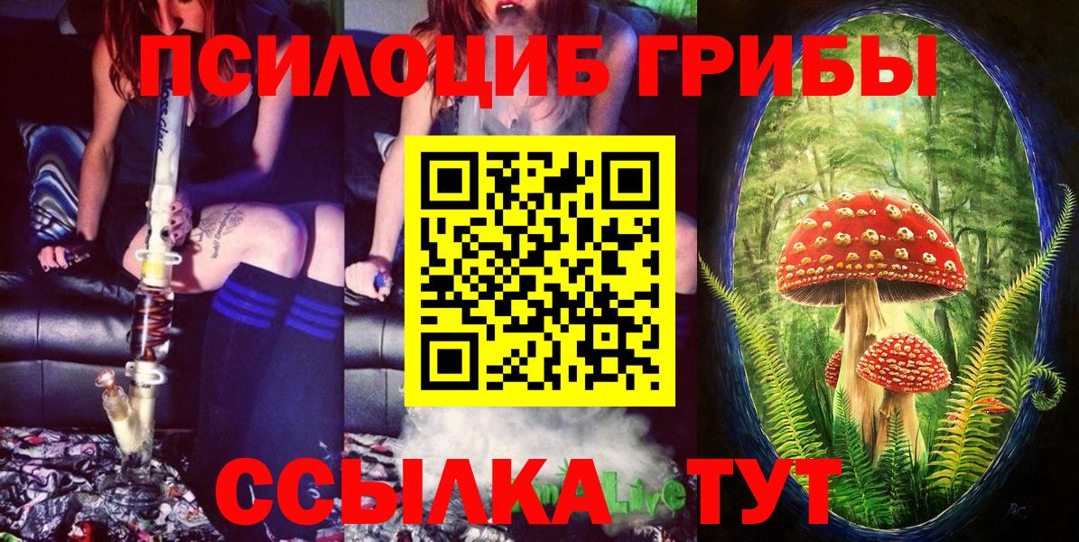 Курчатов  Псилоцибиновые грибы MAGIC MUSHROOMS  Вход с VPN 